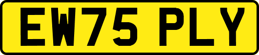 EW75PLY