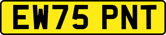 EW75PNT