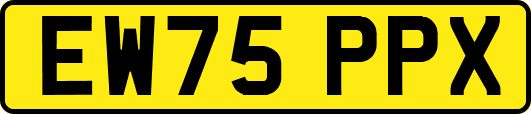 EW75PPX