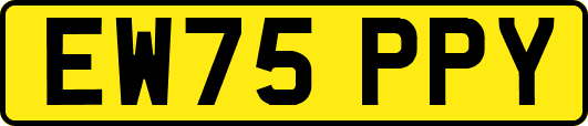 EW75PPY