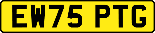 EW75PTG