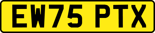 EW75PTX