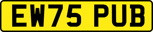 EW75PUB