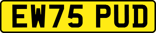 EW75PUD