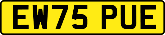 EW75PUE