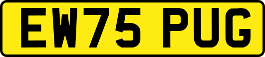 EW75PUG