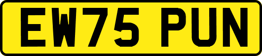 EW75PUN