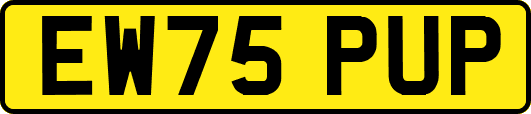 EW75PUP