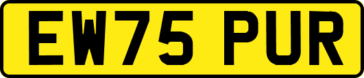 EW75PUR