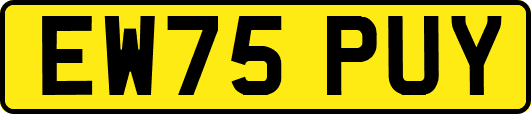 EW75PUY