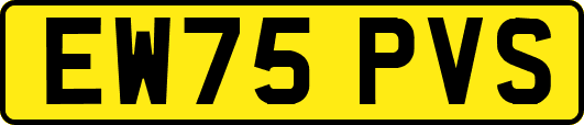 EW75PVS