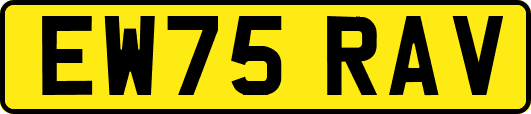 EW75RAV