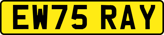 EW75RAY