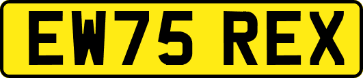 EW75REX