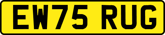 EW75RUG