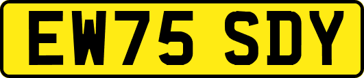 EW75SDY