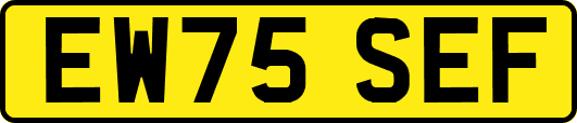 EW75SEF