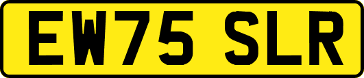 EW75SLR