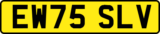 EW75SLV