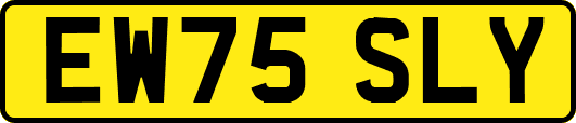 EW75SLY