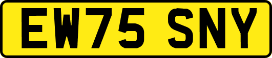 EW75SNY