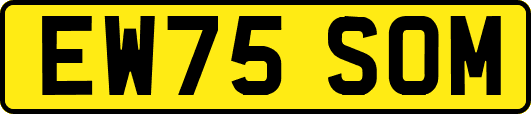 EW75SOM