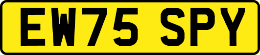 EW75SPY