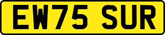 EW75SUR