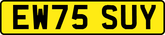 EW75SUY