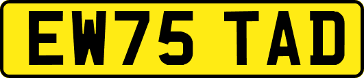 EW75TAD
