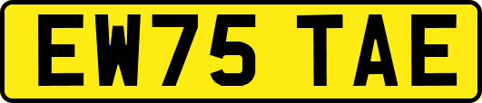 EW75TAE