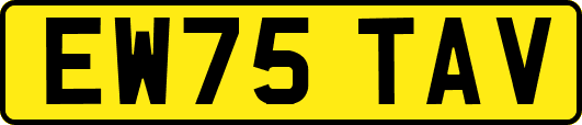 EW75TAV