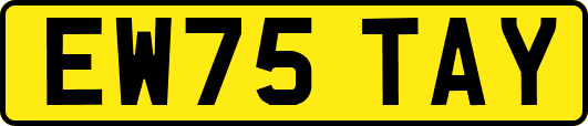 EW75TAY