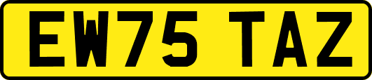 EW75TAZ