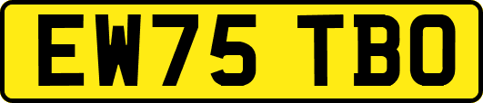 EW75TBO