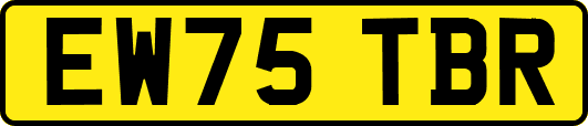 EW75TBR