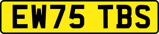 EW75TBS