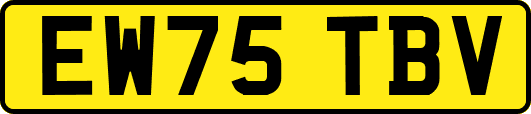 EW75TBV
