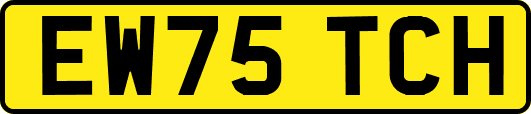 EW75TCH