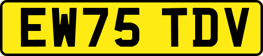 EW75TDV
