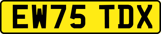 EW75TDX