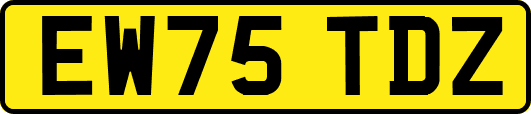 EW75TDZ