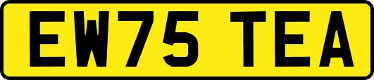 EW75TEA