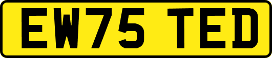 EW75TED