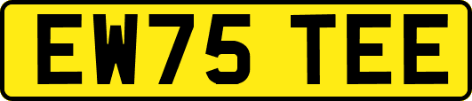EW75TEE