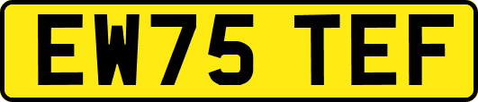 EW75TEF