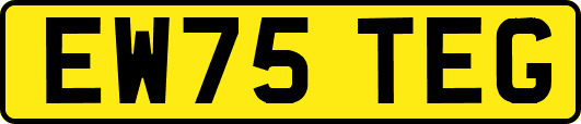 EW75TEG