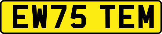 EW75TEM