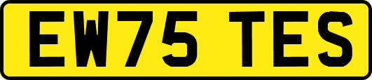 EW75TES