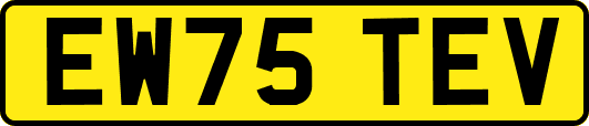 EW75TEV